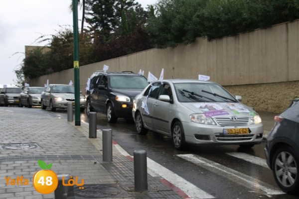 qafela sayarat haiywa (22).JPG